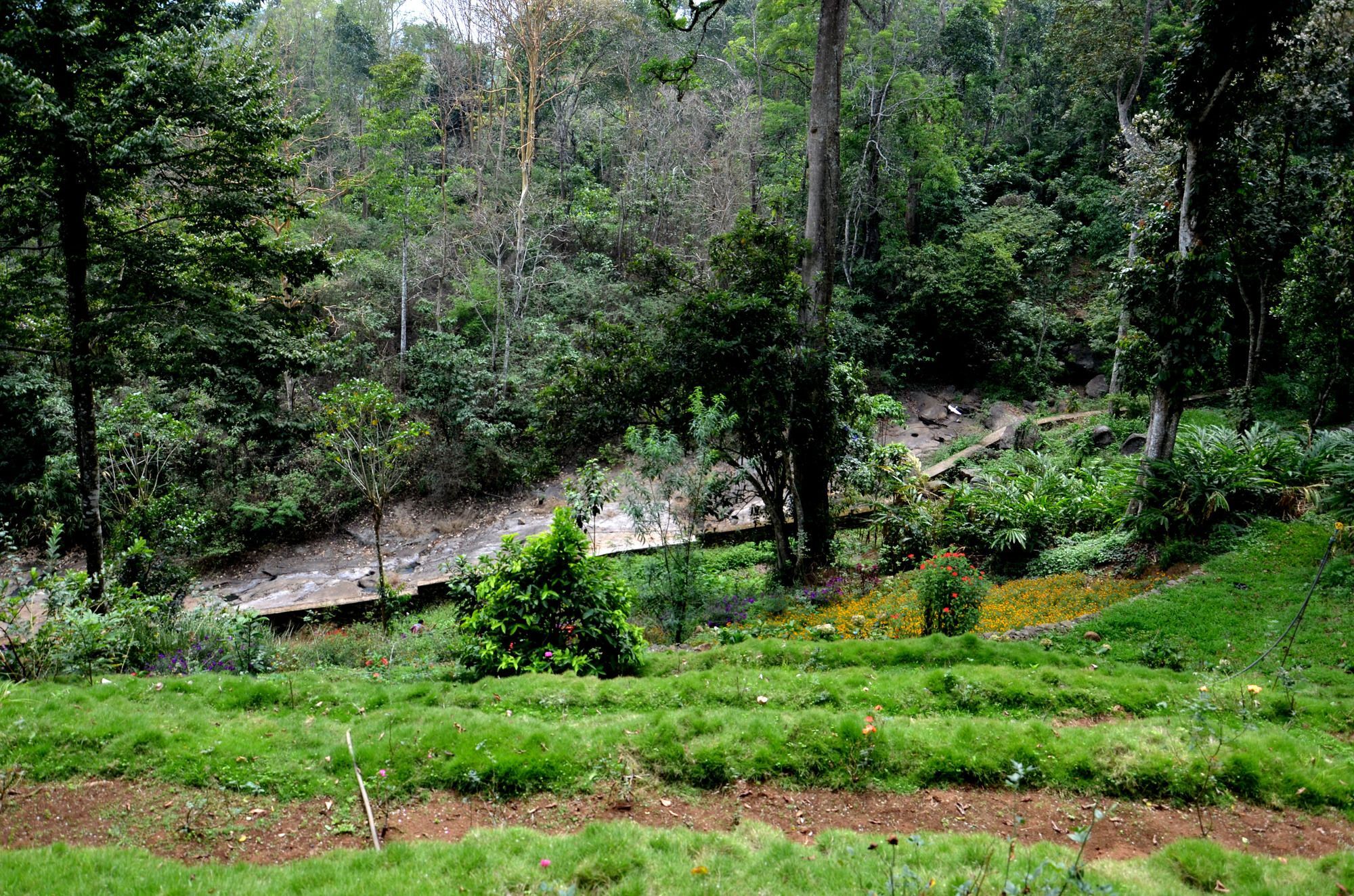 Bamboo Dale Hotel Munnar Kültér fotó